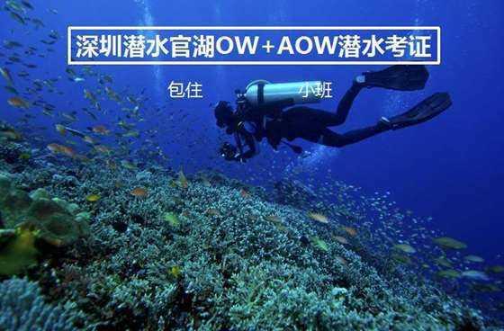 符石守护者