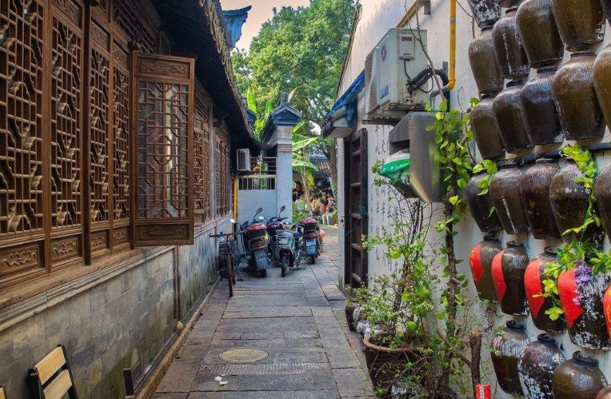 沙皮狗逃离